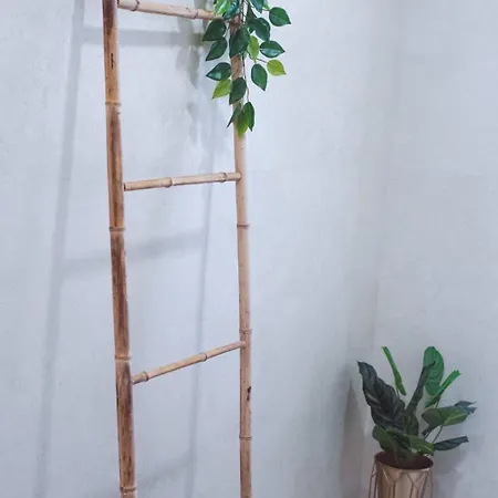 Casa Carlotti شقة *